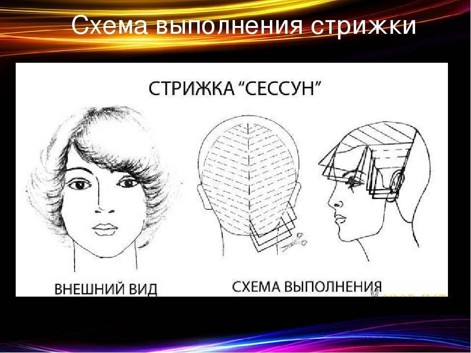 Стрижка сессон: особенности, схема и пошаговая инструкция, варианты исполнения (49 фото)