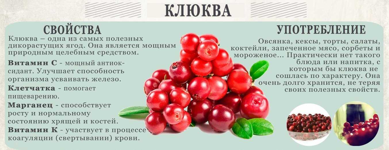 Клюква при цистите – как принимать, отзывы и научные исследования об эффективности лечения