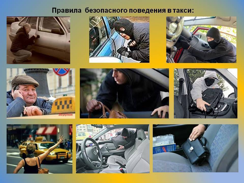 Как перевозить животных с помощью яндекс.такси