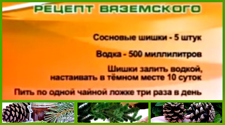 Настойка сосновых шишек на водке - лечебные свойства и рецепты приготовления