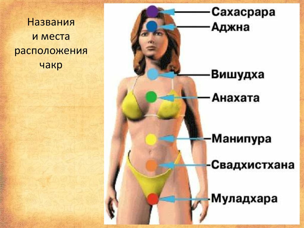 Сердечная анахата чакра – как открыть, где находится, за что отвечает