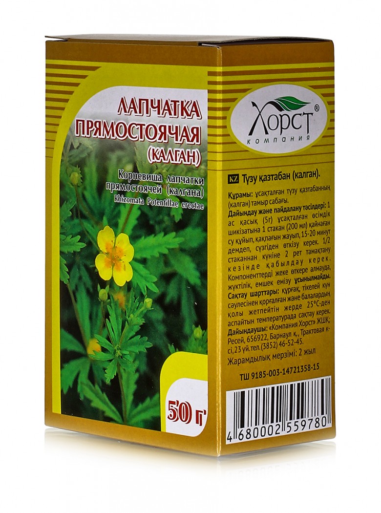 Колганов корень применение, лечебные свойства, настойки, отвары
