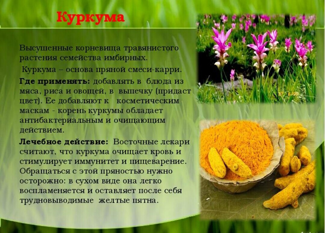 Золотое молоко из куркумы – индийский рецепт