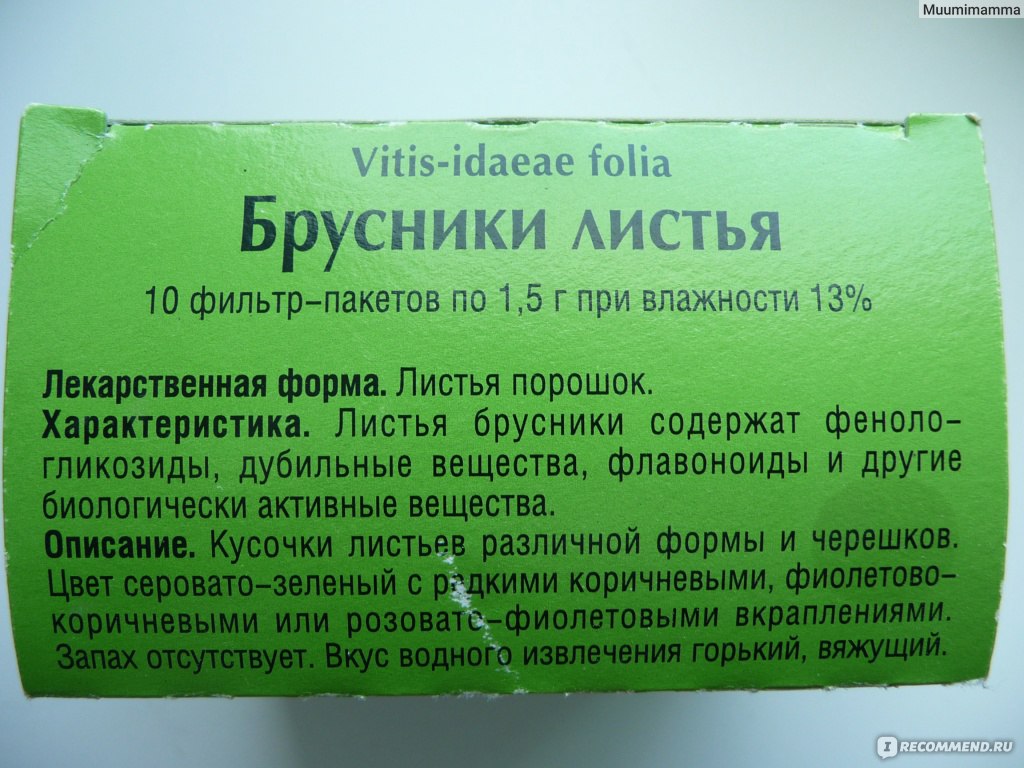 Брусника: польза и вред, лечебные свойства листьев и ягод