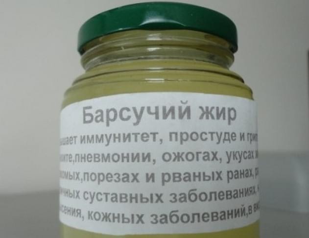 Барсучий жир: лечебные свойства и противопоказания - сила здоровья