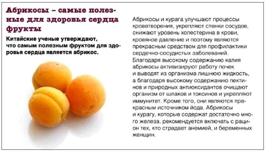 Курага - калорийность, норма в день, польза и вред организма