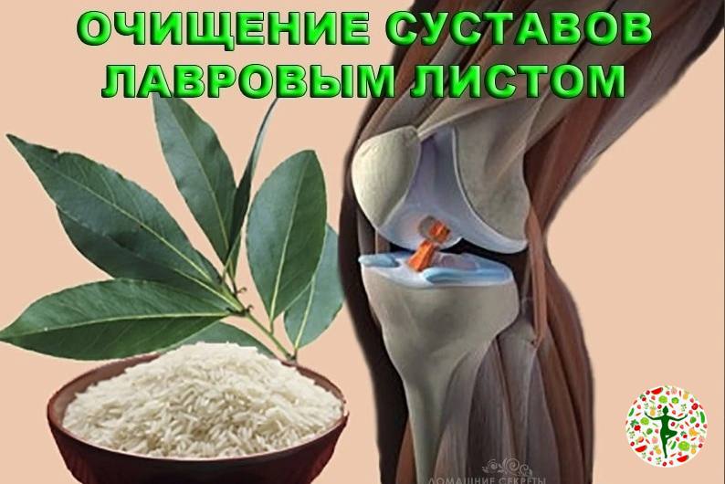 Лавровый лист - 18 полезных свойств. чем полезен лавровый лист и какие противопоказания.
