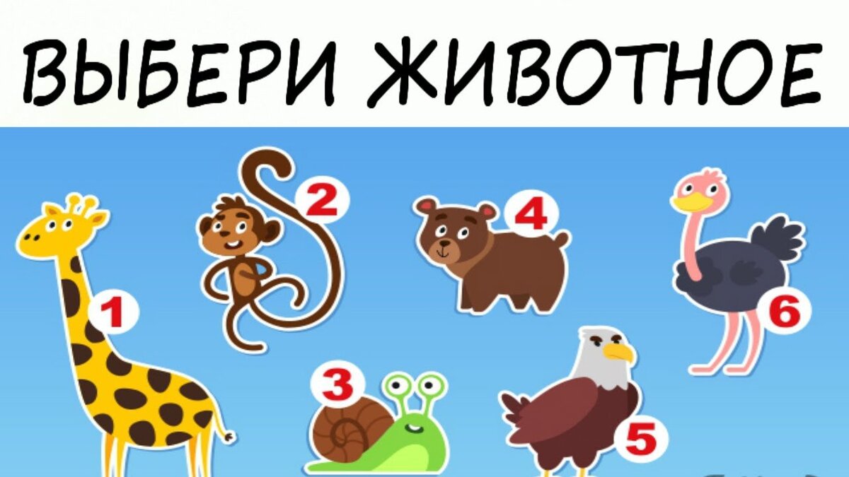 На какое животное я похожа по фото | ваш компьютер