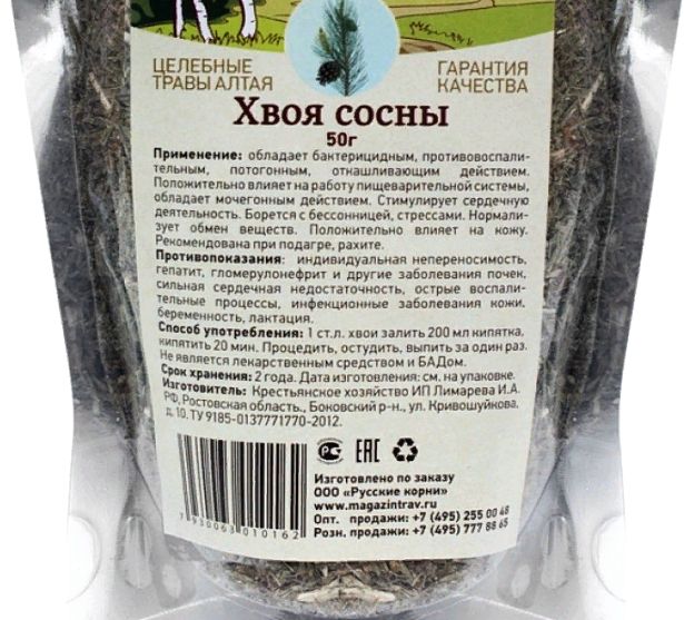 Полезные и лечебные свойства сосны: 6 народных рецептов