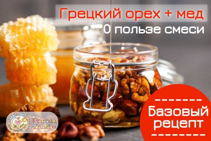 Грецкий орех с медом — 12 лучших рецептов для мужчин