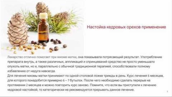 Перегородки грецких орехов лечебные свойства и противопоказания, применение