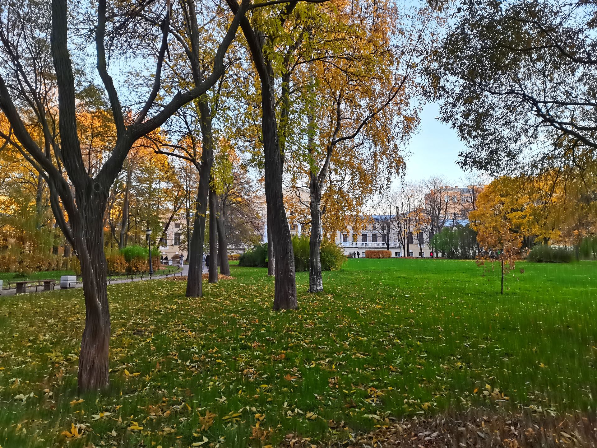 Ботанический сад петра великого в санкт-петербурге: история, адрес и фото