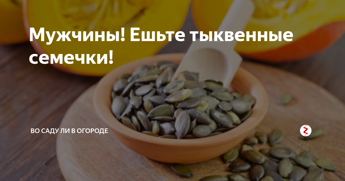 Тыквенные семечки от глистов: как принимать
