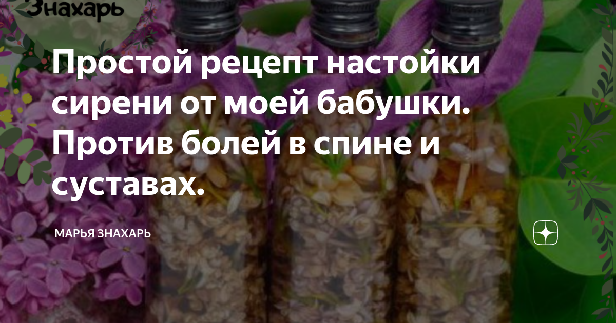 Настойка из одуванчиков на водке и спирте: рецепт и применение