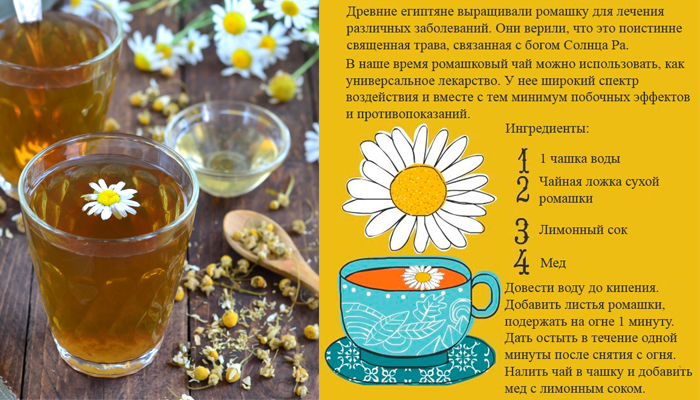 Чай из ромашки Ромашковый чай Рецепты приготовления чая из ромашки Как правильно заваривать ромашковый чай Польза и вред чая из ромашки