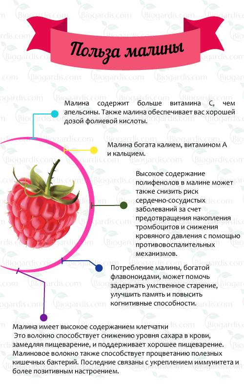Маски для кожи лица из малины в домашних условиях - jlica.ru