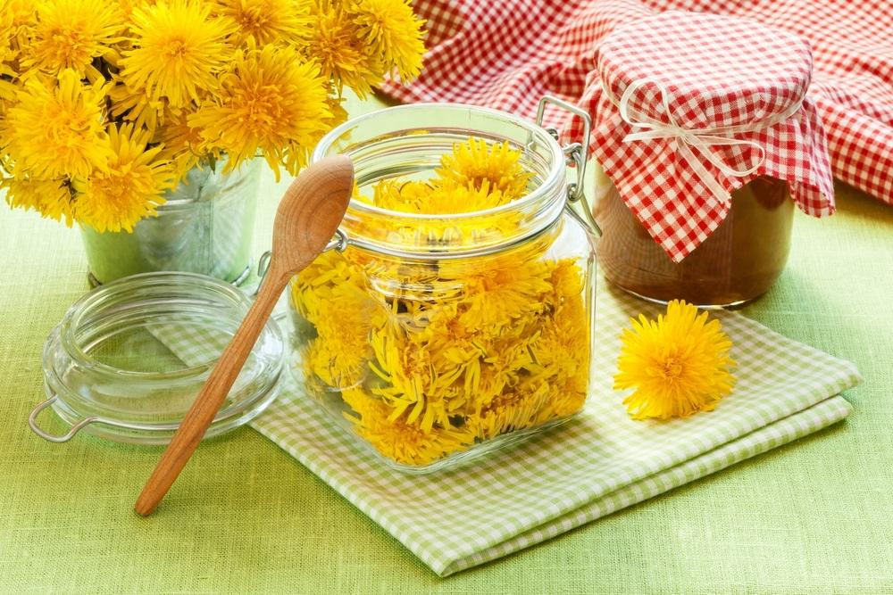 Варенье из одуванчиков: польза и вред, и 5 рецептов — тортомарафон