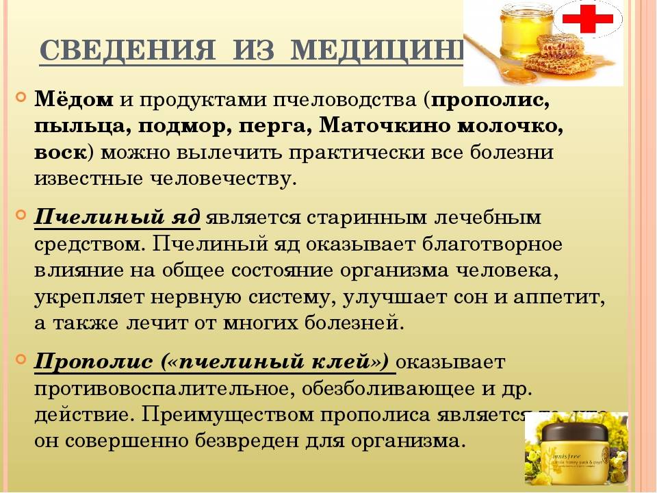 Пчелиный воск – свойства и применение