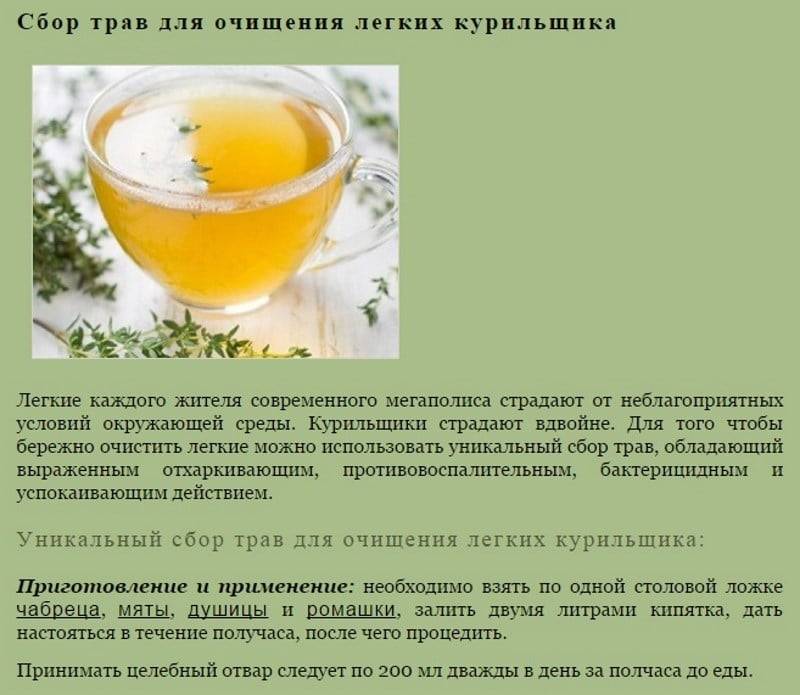 Травы от простуды и гриппа для детей и взрослых