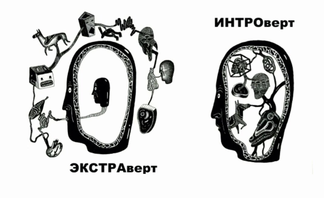 Интроверты и экстраверты: типы личности, характеристика человека в психологии