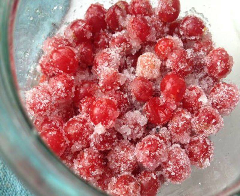 Калина с сахаром на зиму без варки