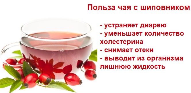 Отвар шиповника — от чего помогает, как приготовить, рецепты и как принимать