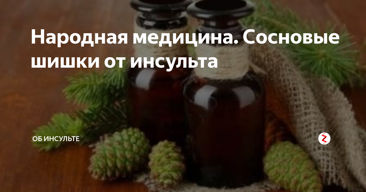 Настойка из сосновых шишек как средство оздоровления организма. от чего помогает и как приготовить своими руками?