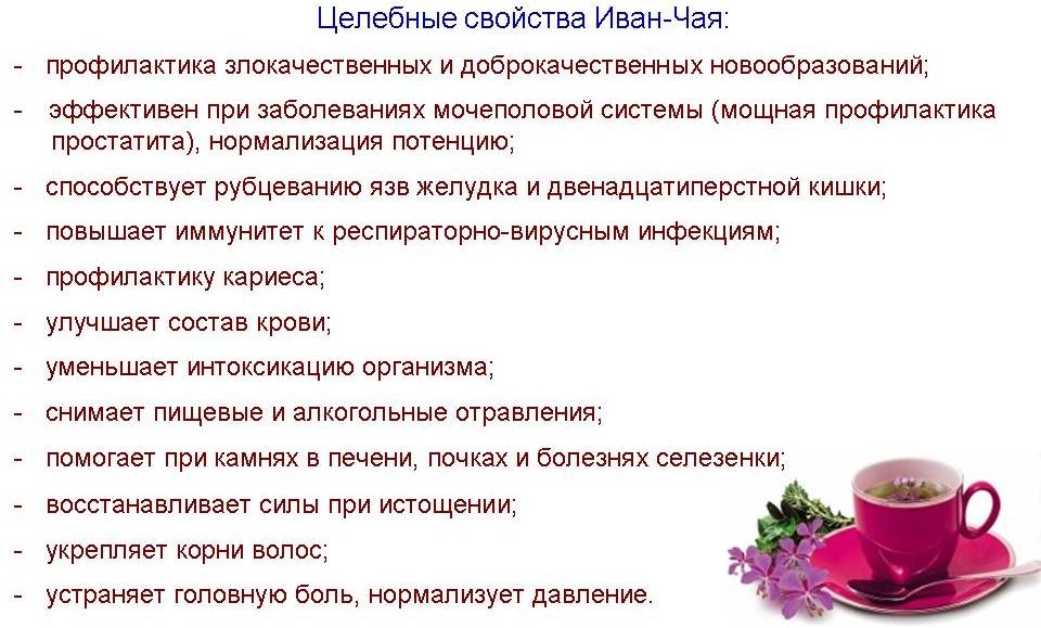 Иван чай | на всякий случай