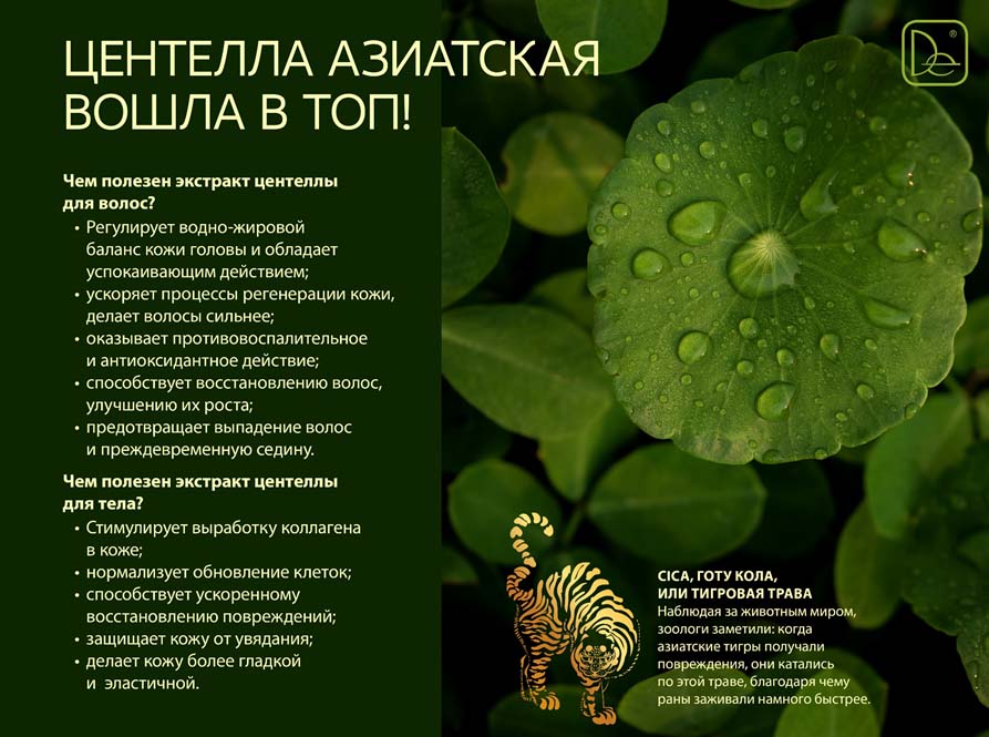 Центелла азиатская (centella asiatica) в косметике для лица