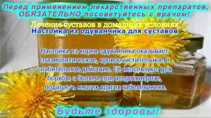 Настойка из одуванчиков на водке – для чего применяется и рецепты приготовления