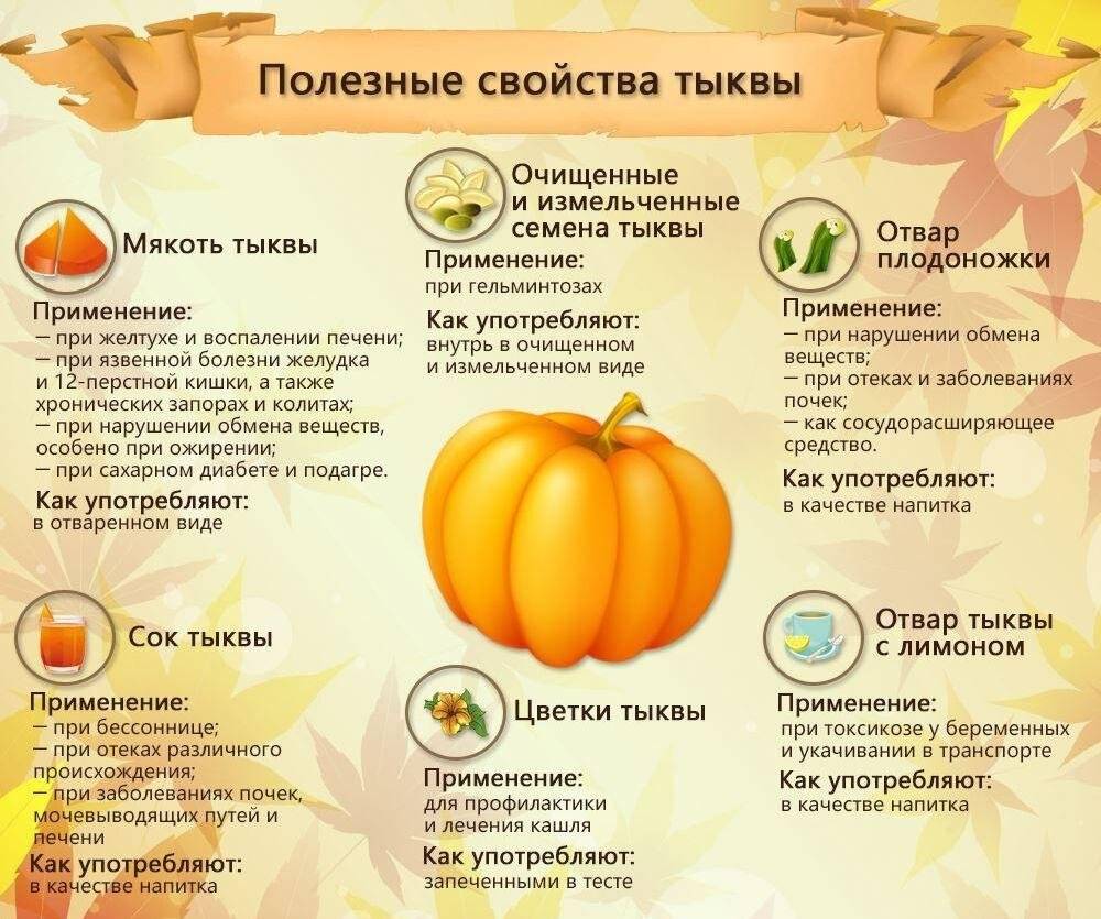 Семена тыквы: лечебные свойства и противопоказания, польза и вред для мужчин и женщин
