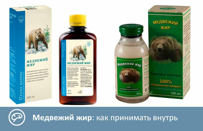 Медвежий жир. польза и вред. свойства. как принимать. лечение. отзывы