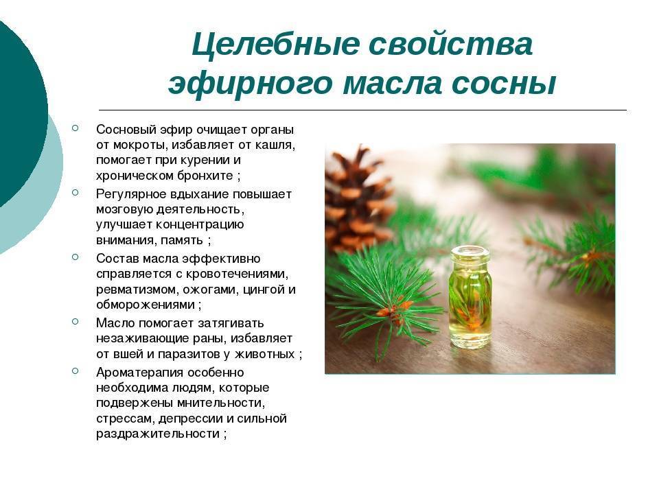 Пихтовое масло: свойства и применение