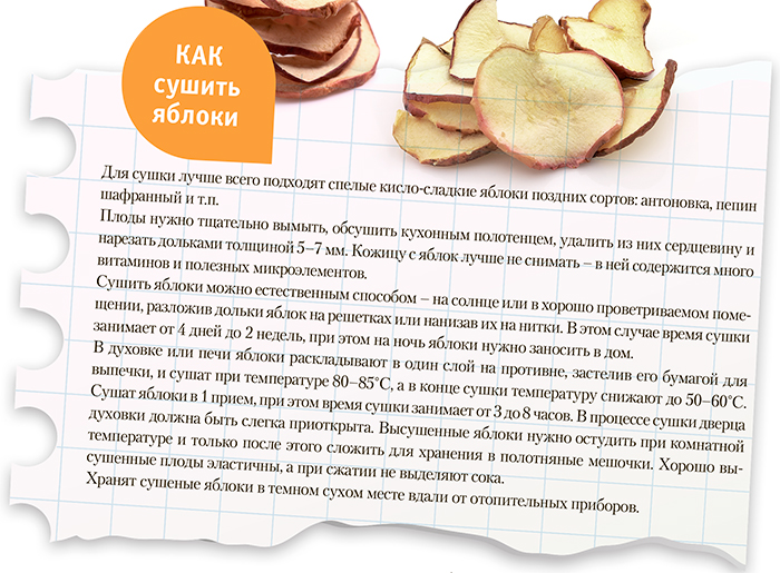 Сушеные яблоки: польза и вред для здоровья, как хранить в домашних условиях | zaslonovgrad.ru