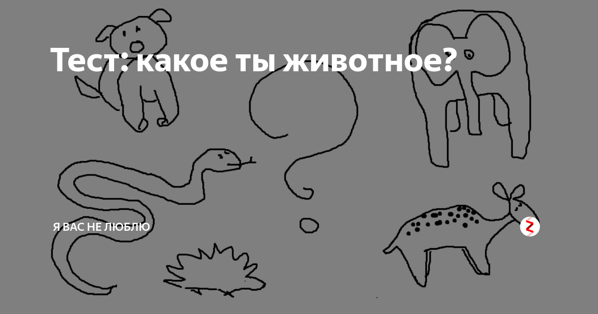 На какое животное я похожа по фото. на какое животное ты похож по фото - ресницамания