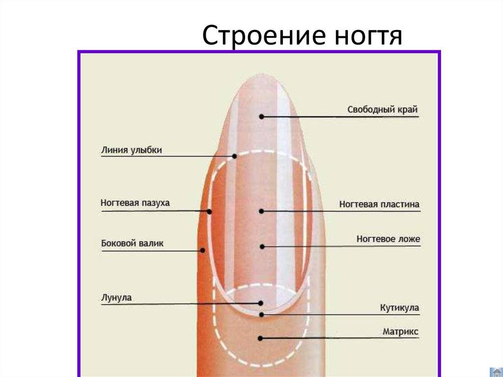Деформация ногтей на руках причины и лечение. фото и видео болезни
