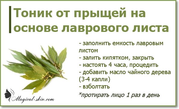 Отвар лаврового листа для лица. в борьбе с морщинами поможет отвар лаврового листа