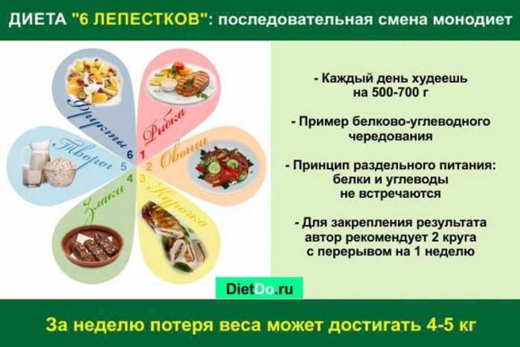 Диета 6 лепестков: меню, особенности, результаты + отзывы