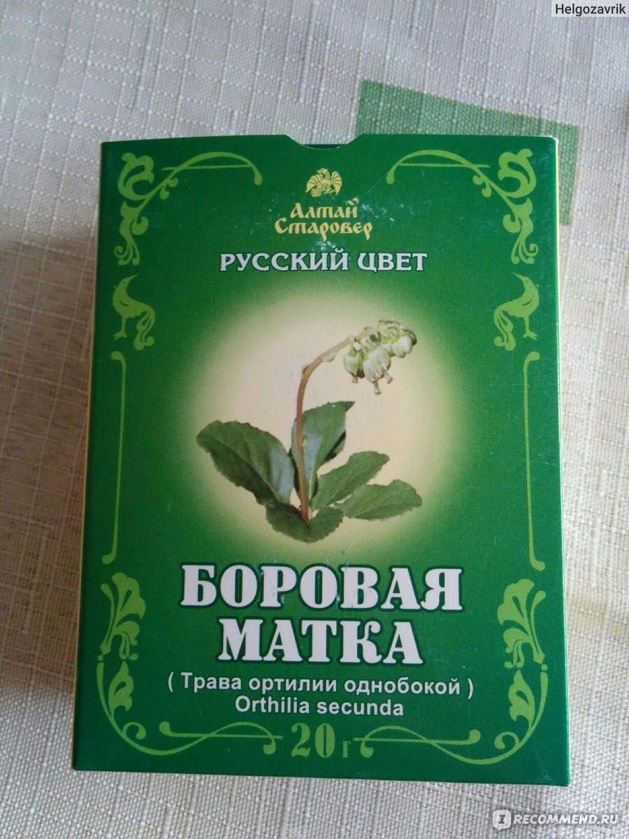 Дача и огород
