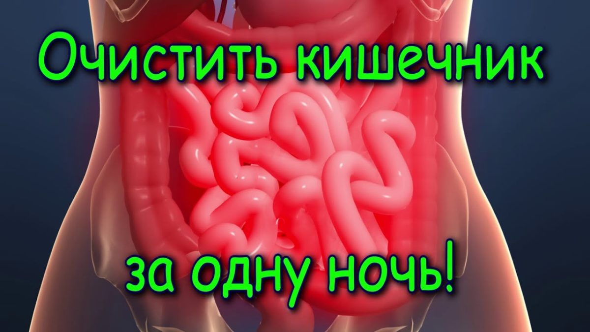 Как правильно очистить кишечник? * клиника диана в санкт-петербурге