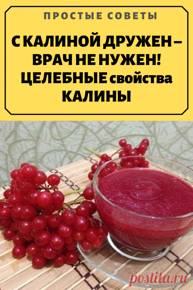 Калина - суперфуд для укрепления иммунитета. чем она полезна и как ее употреблять