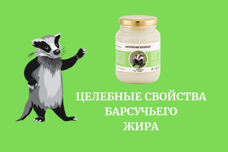 Применение барсучьего жира для домашнего лечения: внутрь и наружно